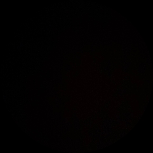 lunaliong